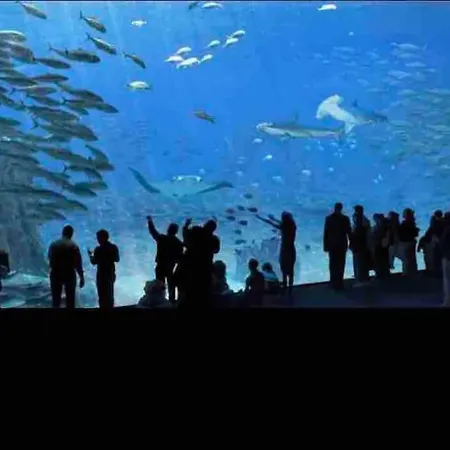 New Proche Nausicaa ! « mille Et Un Reve » Semesterbostad Boulogne-sur-Mer