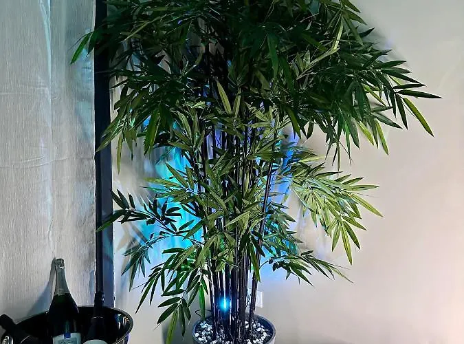 New Proche Nausicaa ! « mille Et Un Reve » *