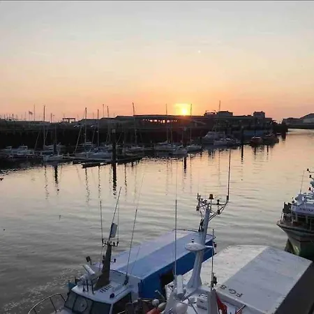 New Proche Nausicaa ! « mille Et Un Reve »