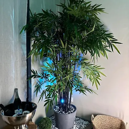 New Proche Nausicaa ! « mille Et Un Reve » *