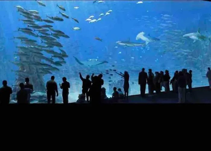 New Proche Nausicaa ! « mille Et Un Reve » Дом отдыха Булонь-сюр-Мер